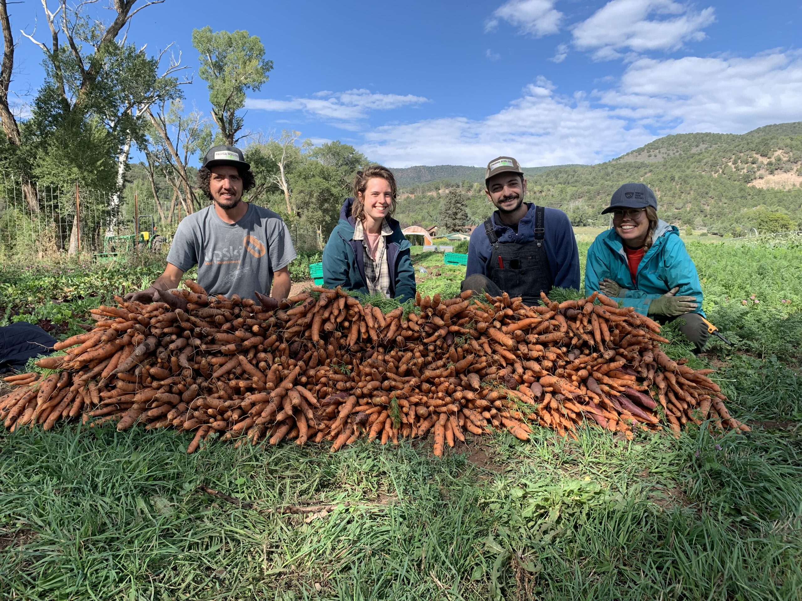 Casey Piscura and Seed Peace apprentices in the field with a carrot harvest smiling.